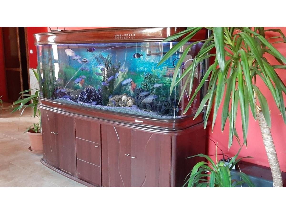 Family Hotel Favourite ابزور المظهر الخارجي الصورة